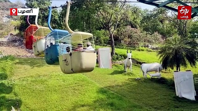 பழனி முருகன் கோயிலில் சாமி தரிசனம் செய்த அமைச்சர் சேகர்பாபு