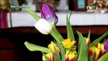 Maria Dan Paucean - Roata-i viata omului (Din zestrea Ardealului - TVR 3 - 25.04.2022)