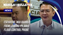 Escudero, Ngu barred from leaving PH amid flood control probe
