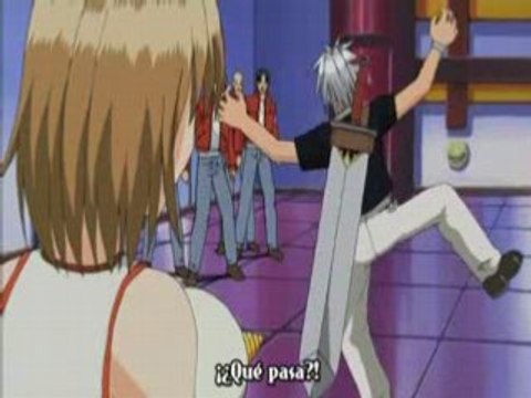 Rave master 11 sub español