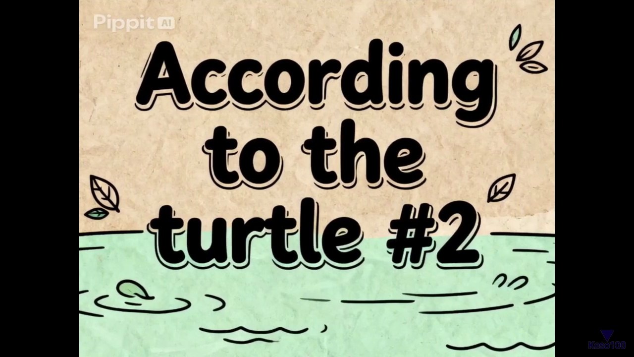 According the Turtle #2