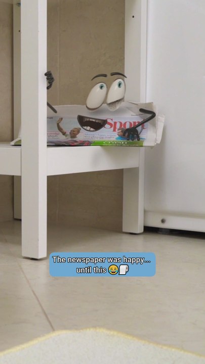 Worst day ever for this newspaper! 🗞️💀 #funnyvideo #plottwis