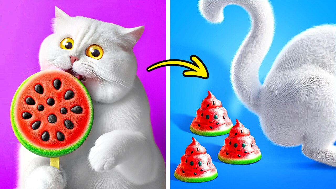 Crafty Cat Solutions: 10+ Must-Try Hacks for Pet Parents