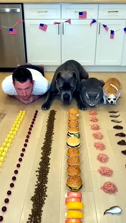 تحدي جديد ونتيجة مذهلة! 🐾🍽️ | A Brand New Challenge! 🐾🍽️