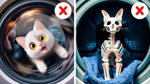 Creative Cat Crafts You Didn't Know You Needed