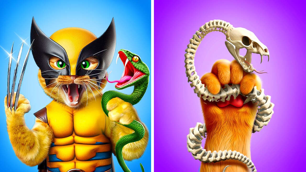 Wealthy vs. Struggling Cat Owners: Must-Have TikTok Gadgets