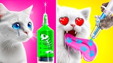 Creative Cat Hacks: Fun Fidget Toys and DIY Surprises