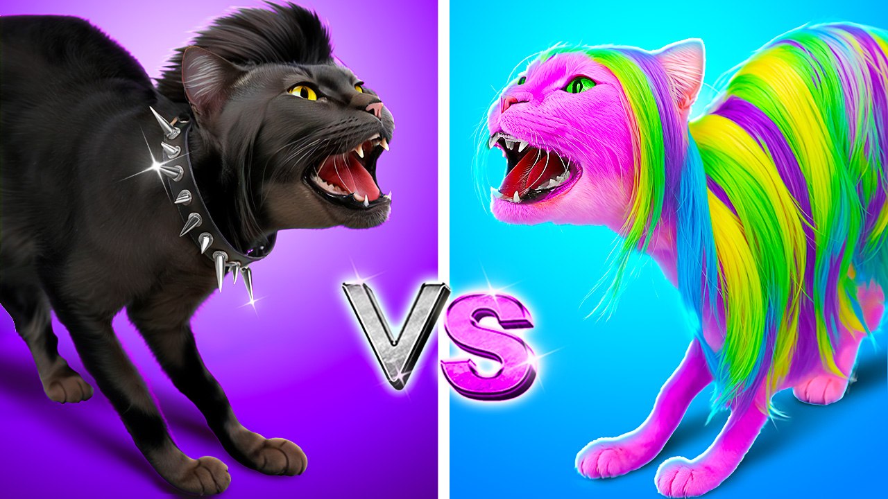 Creative Cat Nap Showdown: Fun Hacks and Crafts...