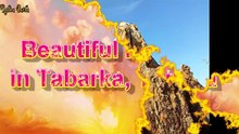 Beautiful Needles in Tabarka, Tunisia 🌹