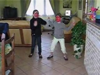 la tectonic des coccinelles