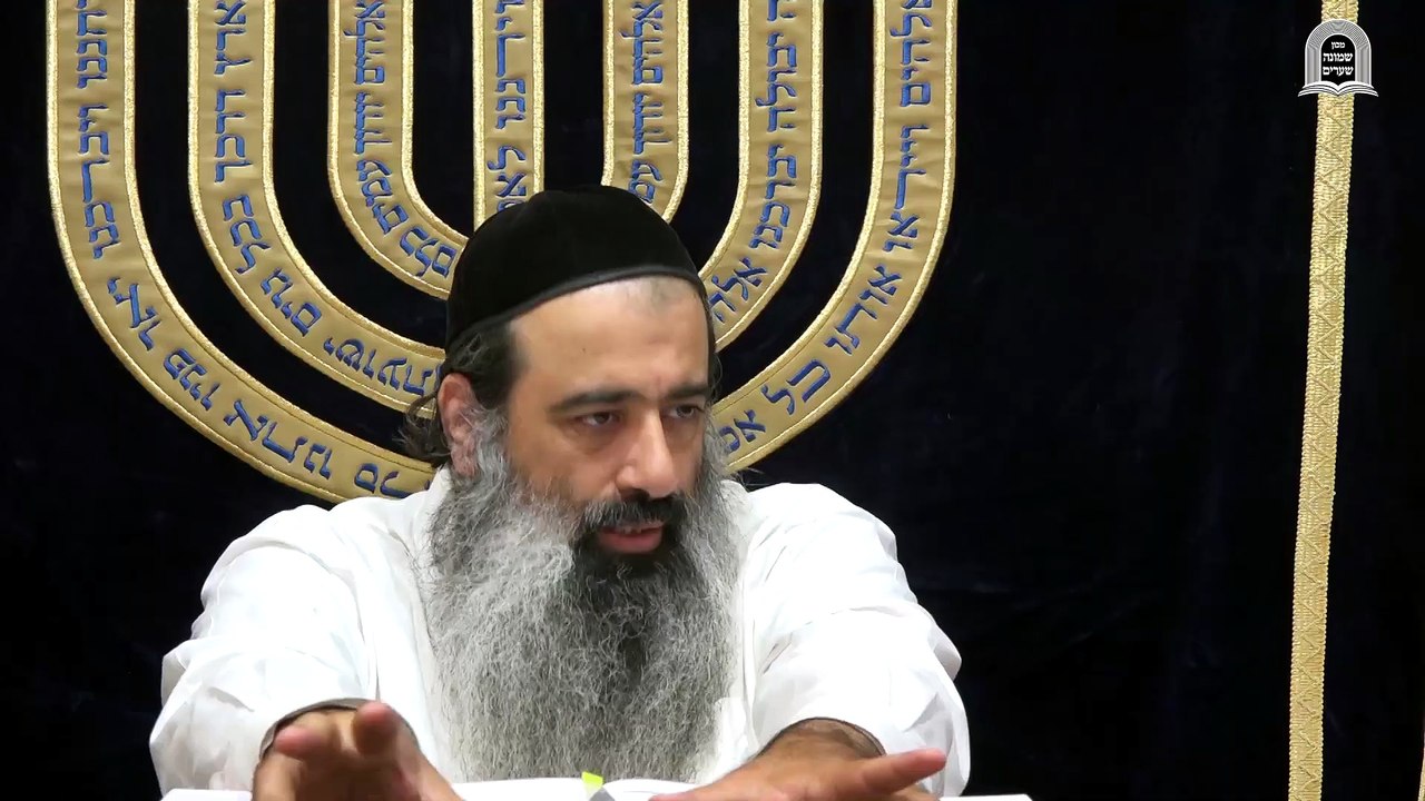 פנימיות דחיצוניות 06