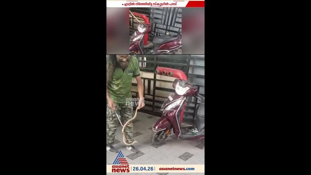 ചീറ്റുന്ന ശബ്ദം കേട്ട് നോക്കുമ്പോള്‍ സ്‌കൂട്ടറിനുളളില്‍ മൂര്‍ഖന്‍ പാമ്പ് !