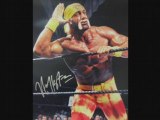 Hulk hogan