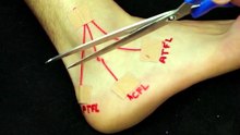 Massage therapy sessions & taping techniques