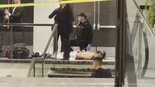 Video shows man believed to be the shooter of White House Correspondents Dinner being detained