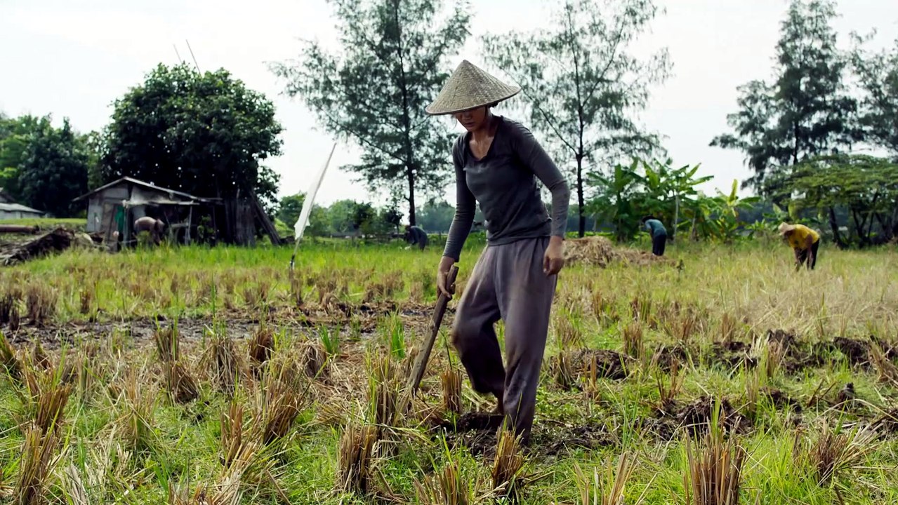PANGKU - OFFICIAL TRAILER