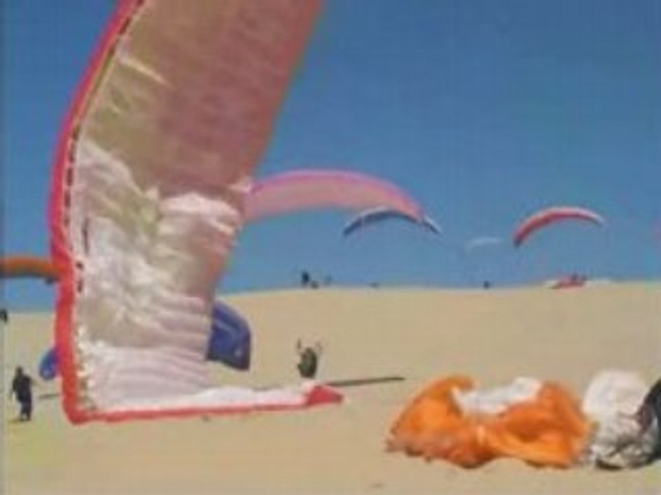 Pti rastas à la dune