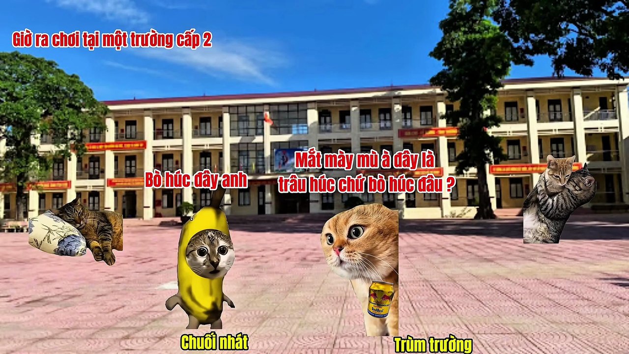 👉 Bạo Lực Học Đường – Khi Việc Đi Học Trở Thành Ác Mộng | Mèo Meme Cảm Động 😿