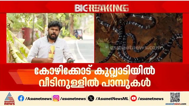 കോഴിക്കോട് കുറ്റ്യാടിയിൽ വീട്ടിൽ നിന്ന് അഞ്ച് പാമ്പുകളെ കണ്ടെത്തി