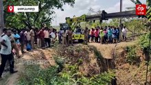 கிணற்றில் விழுந்த 2 காட்டெருமைகள் உயிரிழப்பு