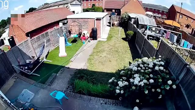 Best Fails of The Week 😆 | Top Crazy Fails of The Month | Funniest Moments Compilation 2026