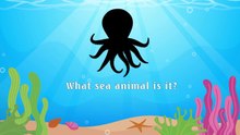 What sea animal is it?