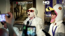 Zobacz: naśladowcy mew rywalizują o najlepszy pisk
