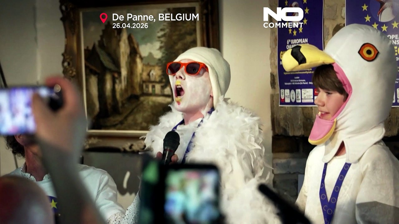 Im Video: Möwen-Imitatoren wetteifern um den besten Kreischlaut