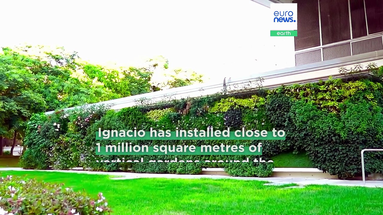 Vertical gardens are a practical – and beautiful – way to cool down cities