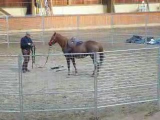Monty Roberts 10 Juin 2008