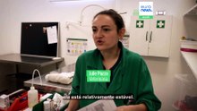 Perto de Paris, um hospital veterinário trata animais selvagens que foram vítimas da atividade humana