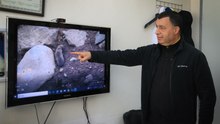 Sağanaklar sırasında yuvalarını su basan kör fareler yüzeye çıktı