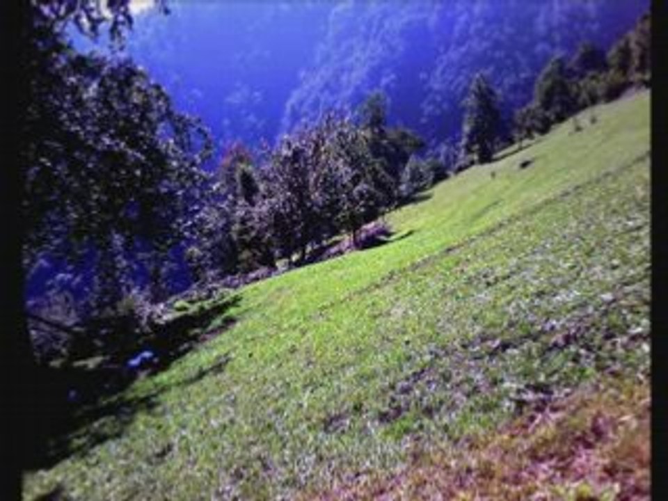 TRABZON ARAKLI  ERENLER  (YAPRAKLI YAYLASI ÇUHUR EZEK VS.)