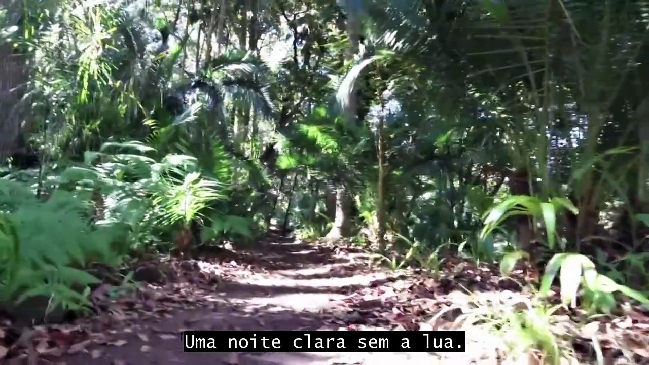 o regresso