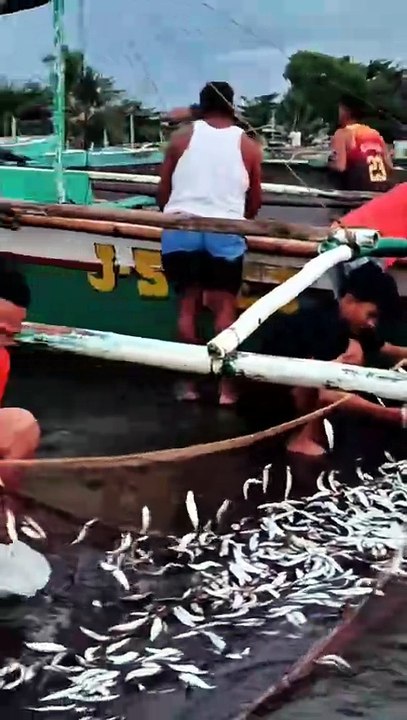 Bibo inibutay ug malangsi