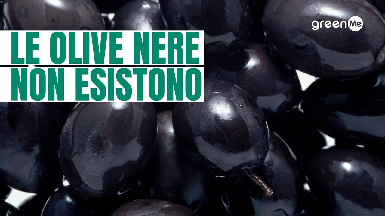 Il segreto delle olive nere industriali
