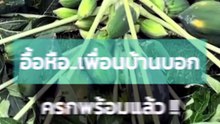 ลูกดกจนหัก...เพื่อนบอกทางนี้ครกพร้อมแล้ว !