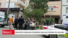 Park edip uyudukları otomobilin arka koltuğunda ölü bulundu