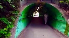 元朗綠色隧道
