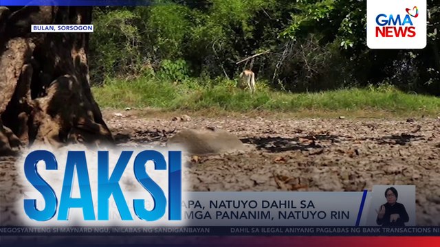 Ilang ilog at sapa, natuyo dahil sa matinding init; mga pananim, natuyo rin | Saksi