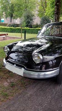 Une des plus vielles voitures de France : dans l'Orne, il roule en Panhard à l'occasion d'un rassemblement
