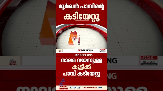 കാസർകോട് എളേരിത്തട്ടിൽ കളിക്കുന്നതിനിടെ നാലര വയസുകാരിക്ക് മൂർഖൻ പാമ്പിന്റെ കടിയേറ്റു; നില ഗുരുതരം