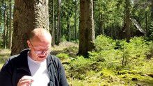 Das andere Gesicht des Karl Marx - Kapitel 1 (Teil 2⁄2) - Des Teufels Advokat