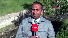 İstanbul'un burnunun dibinde endişelendiren gelişme... Binlercesi ölü olarak bulundu!