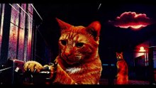 Twin Tabby Heist at Midnight