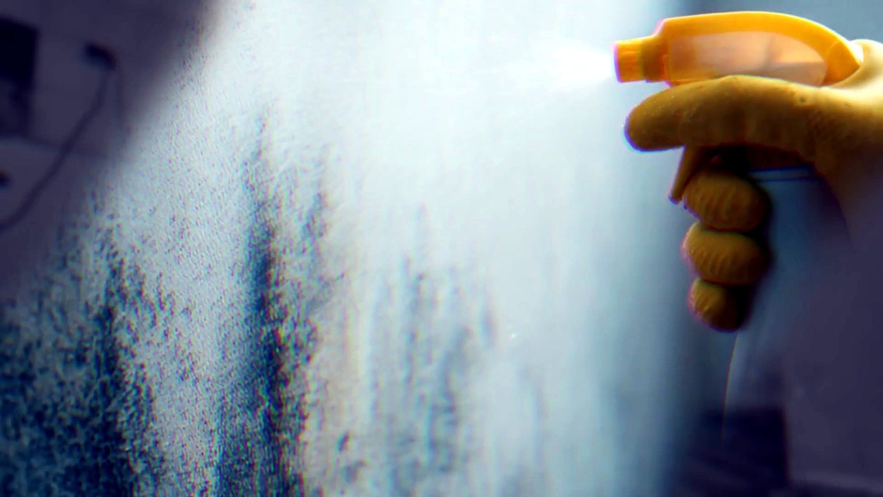 Mold Removal Chattanooga