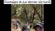 Twitch : ImDylanOff - 20h 🤣