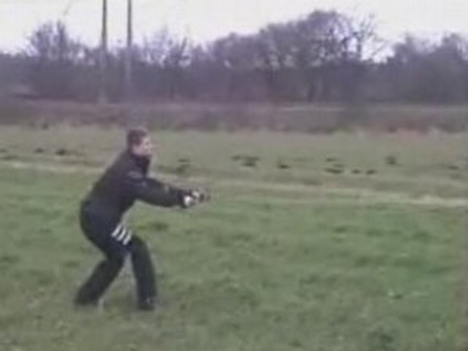 Regis fait du cerf volant