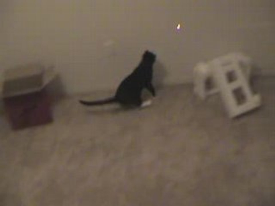 Greta vs Red Dot Round 2