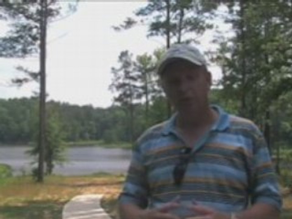 Why My Viral Cash Flow System? Or, Why Not!